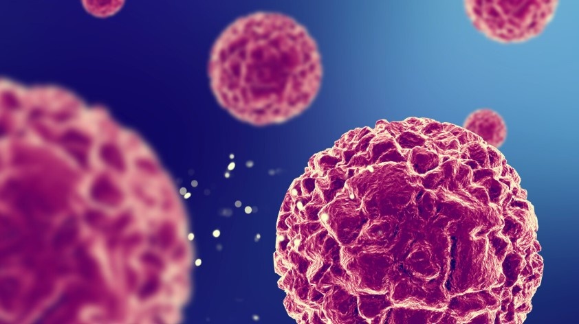    фото: фрипик