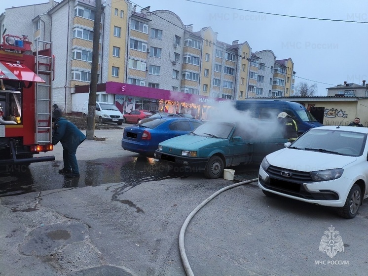     фото: пресс-служба мчс по брянской области