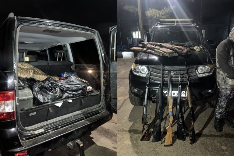    В Оренбуржье браконьеры незаконно добыли трёх косуль Оренбуржье