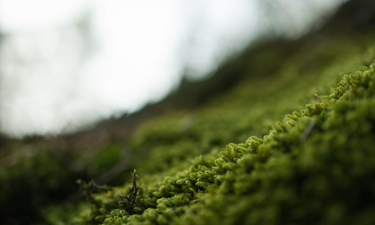    Фото freepik.com