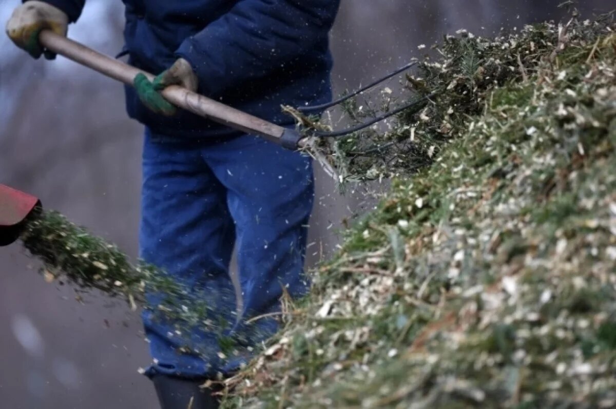    Амурчанин убил знакомого 65 ударами вил за просьбу дать в долг денег