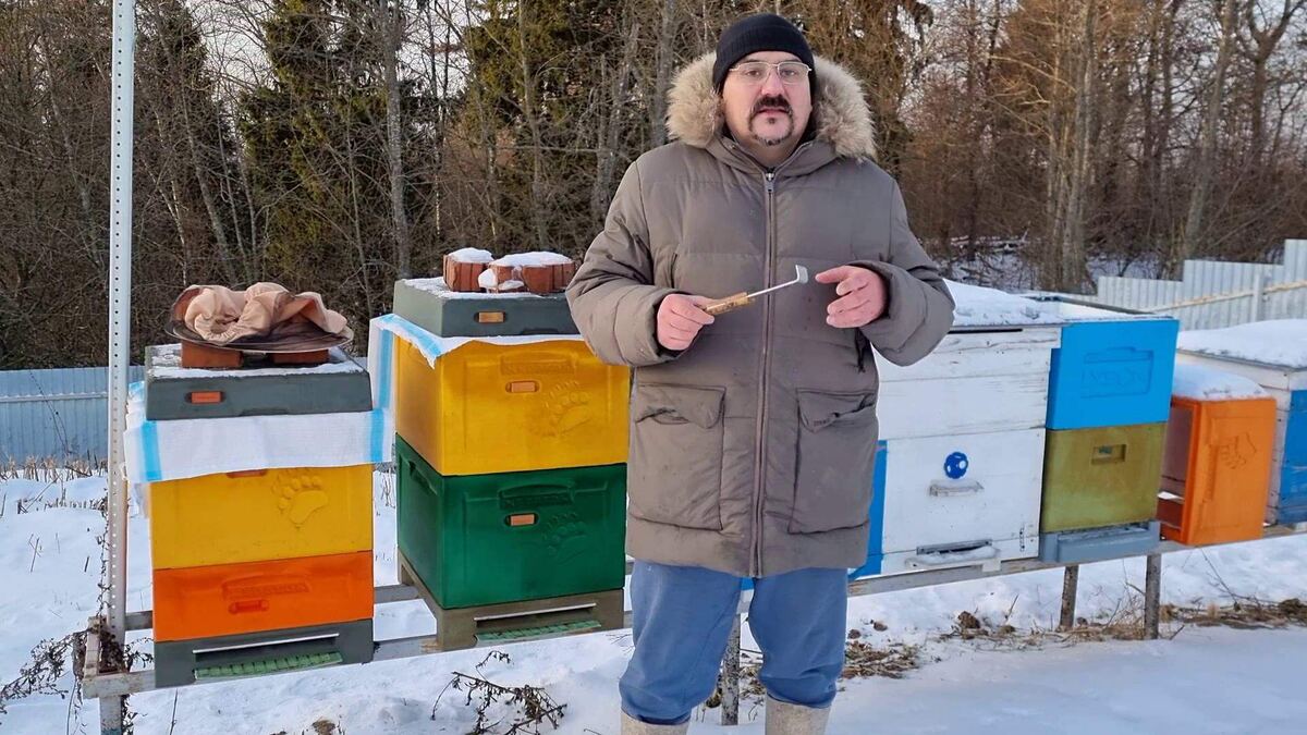 Лечение варроатоза в декабре