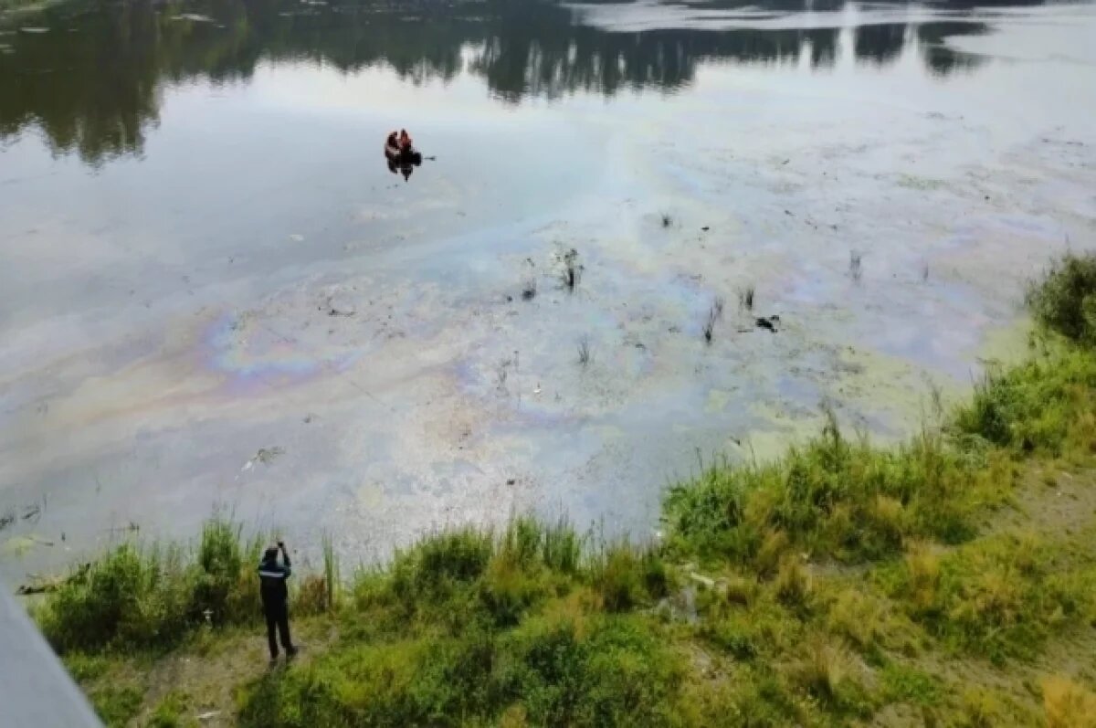    В Волгограде экологи искали разлившуюся по Волге нефть