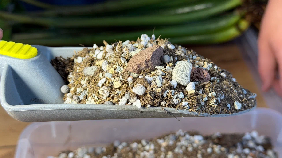 Правильный грунт - залог хорошего роста