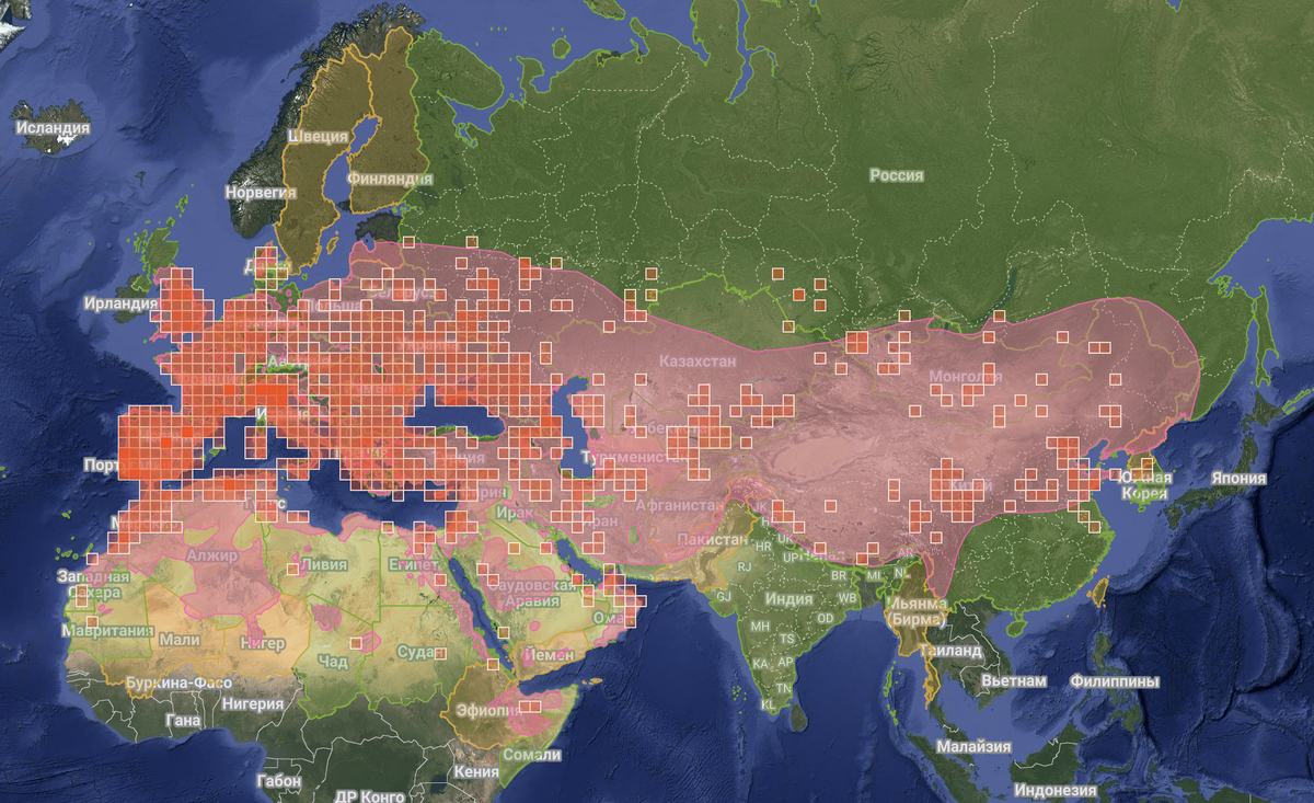 По данным iNaturalist.org