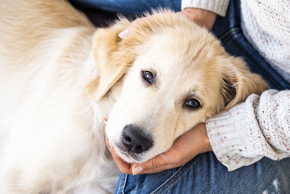    В условиях меняющегося климата люди все чаще ищут природные "сигналы" предстоящих погодных перемен. / iStock