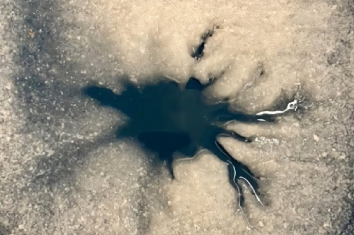 Источник: Lauren Mc Keown