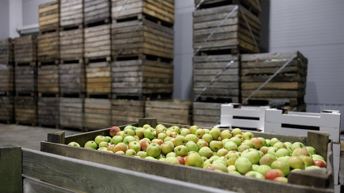    Фото: Sergey Elagin/Business Online