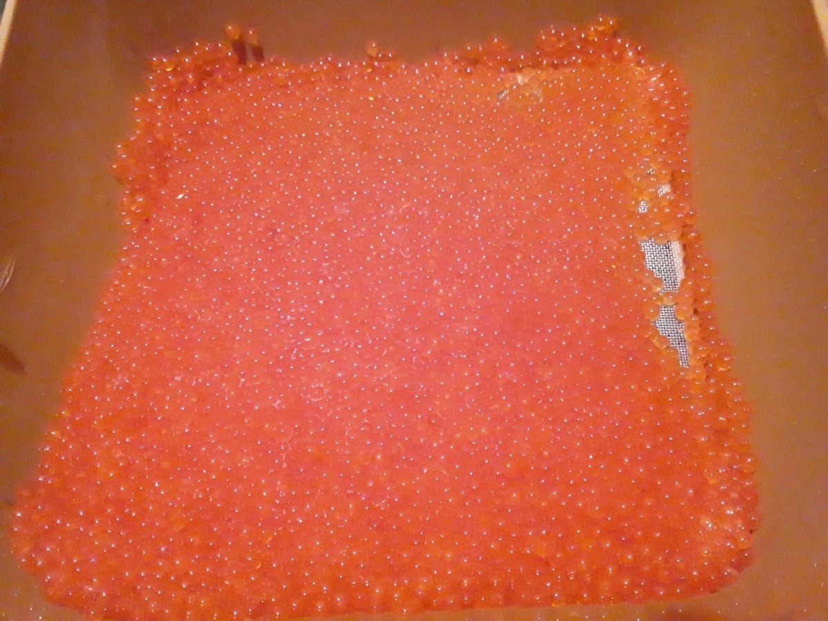 Икринка к икринке