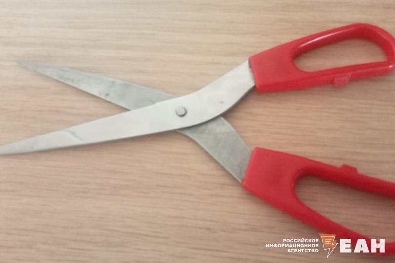    Ножницы