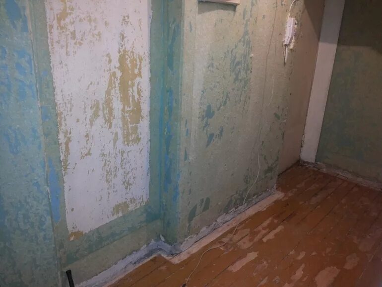 Фото из открытого доступа