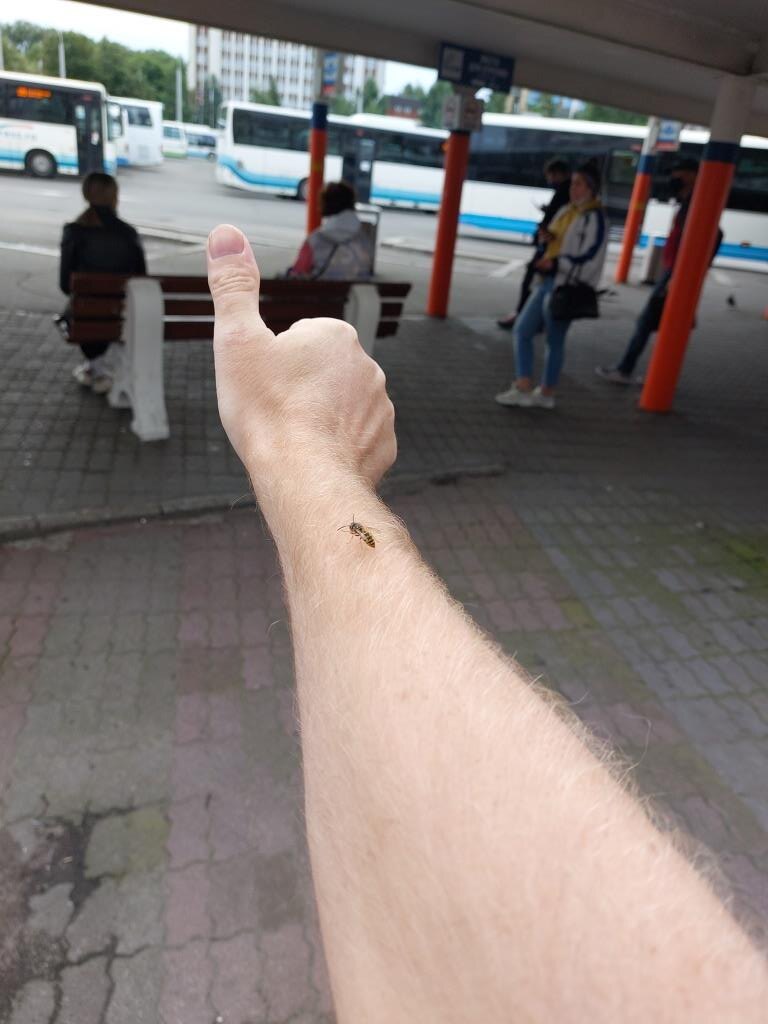 Тот самый момент, когда я всё ещё излучаю оптимизм и ожидаю свой автобус 