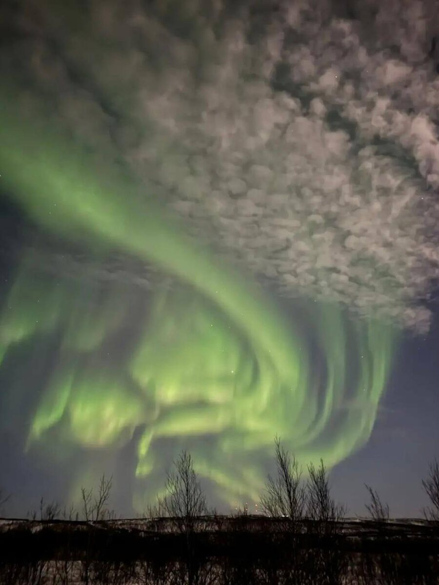 Друг подарил мне Северное Сияние. Фото-трансляцией:)