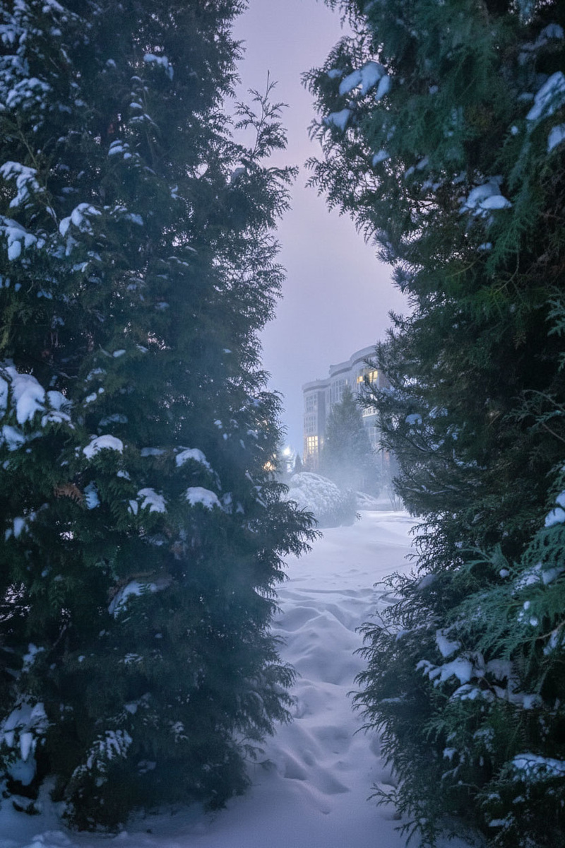 Загадочный зимний вечер Тольятти ЖК «Прилесье». 