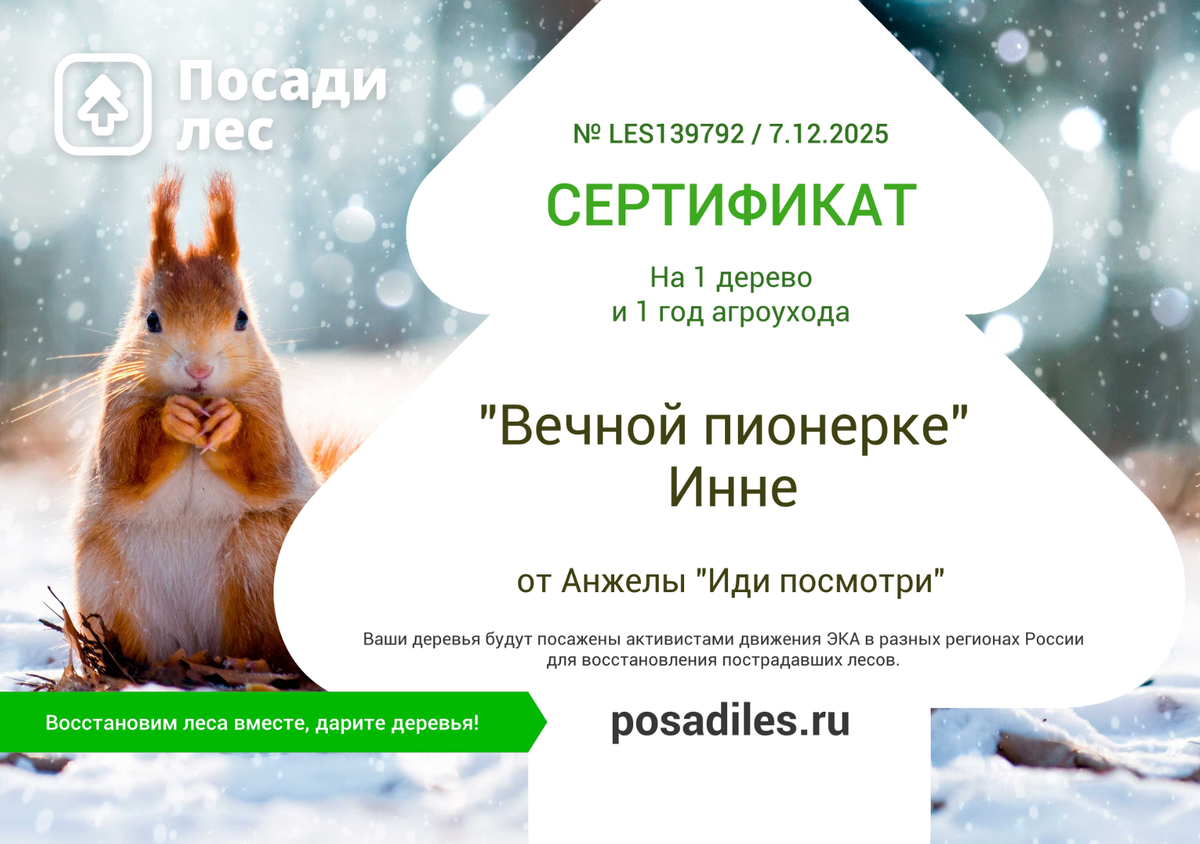 Скриншот сертификата на 1 дерево и 1 год агроухода