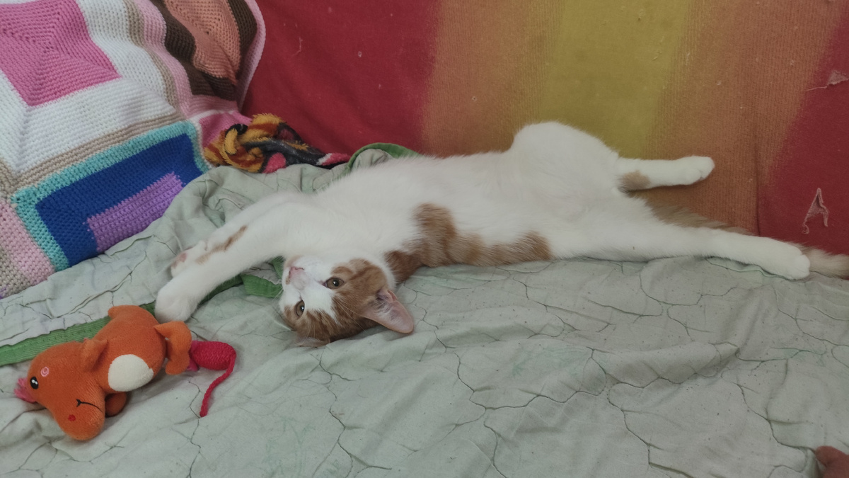 фото автора