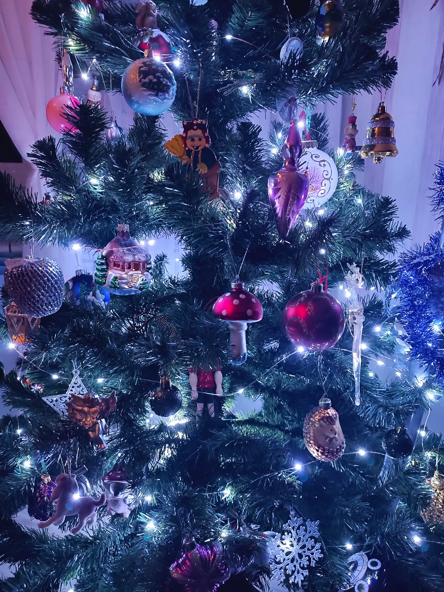 Моя ёлочка 2025