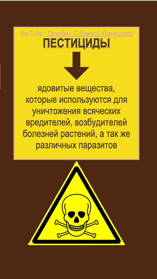 Пестицидв для растений. Орхидеи С Еленой Кузнецовой