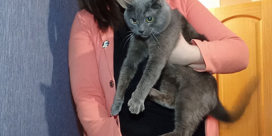 Наглые и не логичные нарциссы