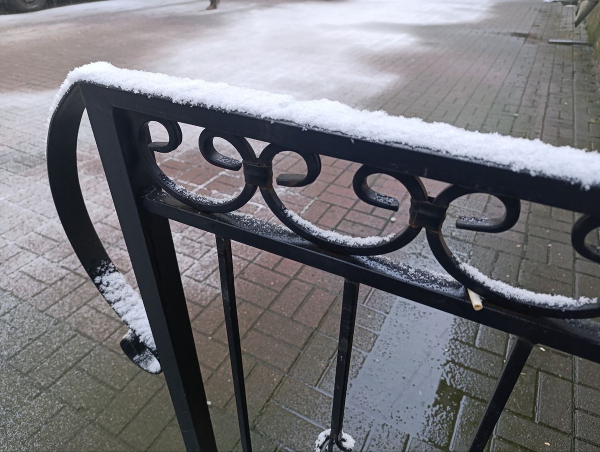 © Форпост Северо-Запад / Алиса Иняхина