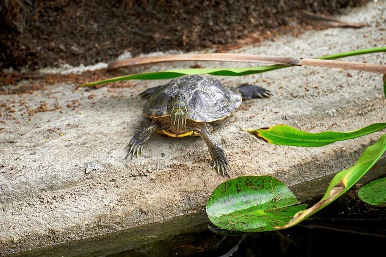 Изображение от frimufilms на Freepik