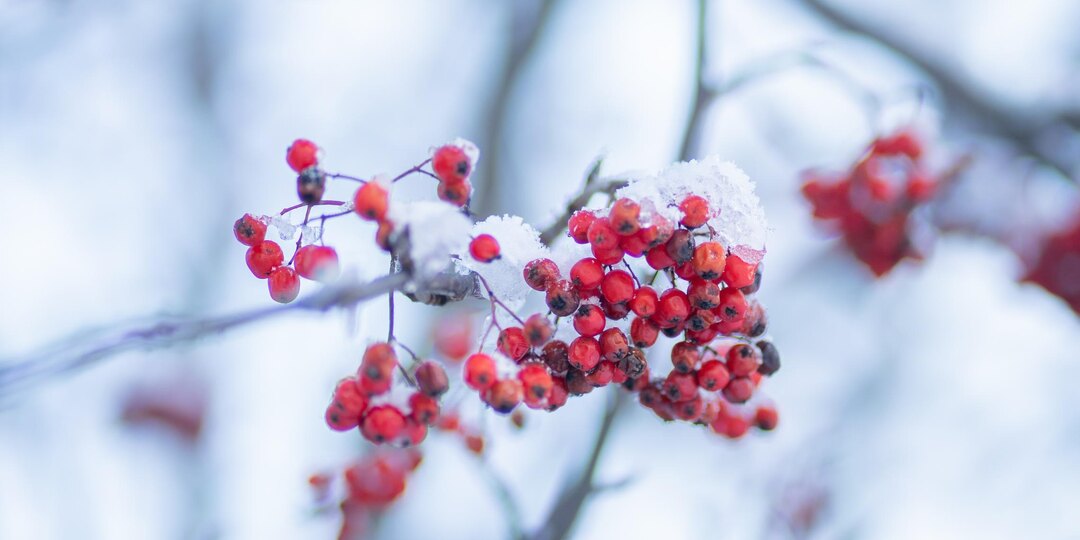 В Мезенском округе ударили тридцатиградусные морозы