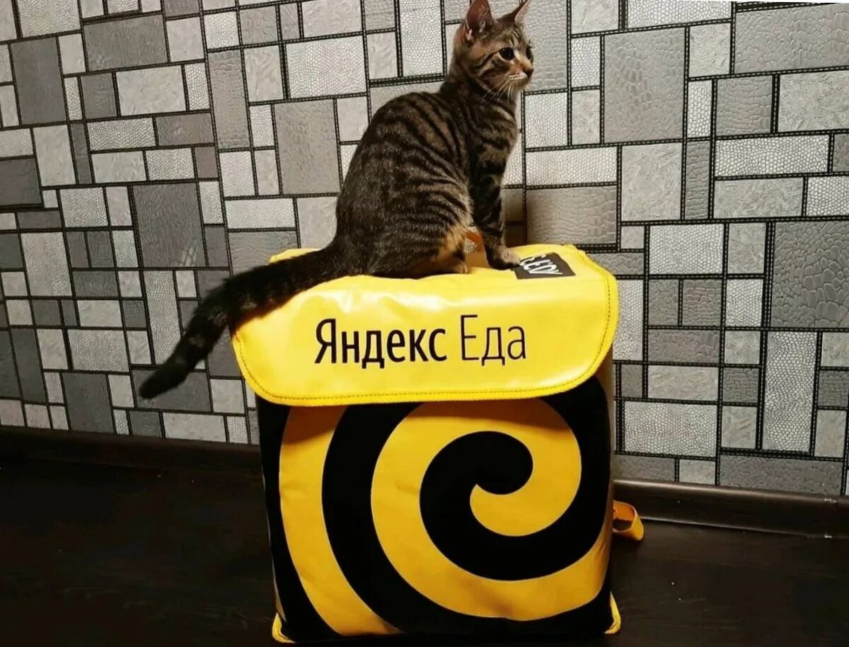Курьер Яндекс еда