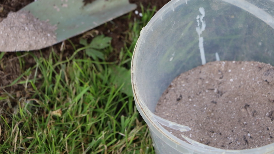 Подкормка томатов