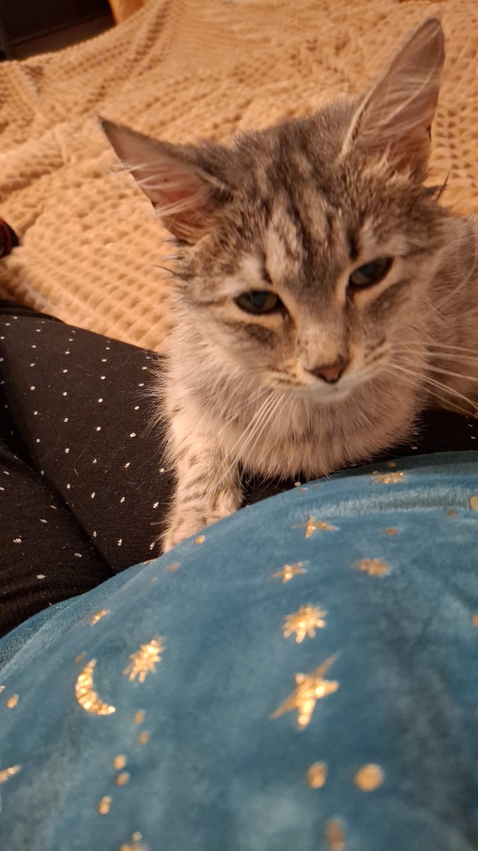 Вот такая пришла