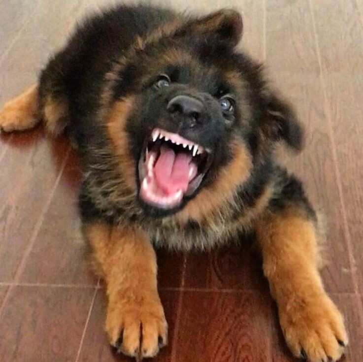 Фото: ru.pinterest.com