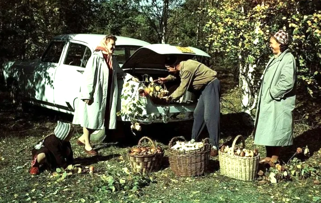 Счастливые советские грибники возвращаются с тихой охоты. Улов есть!