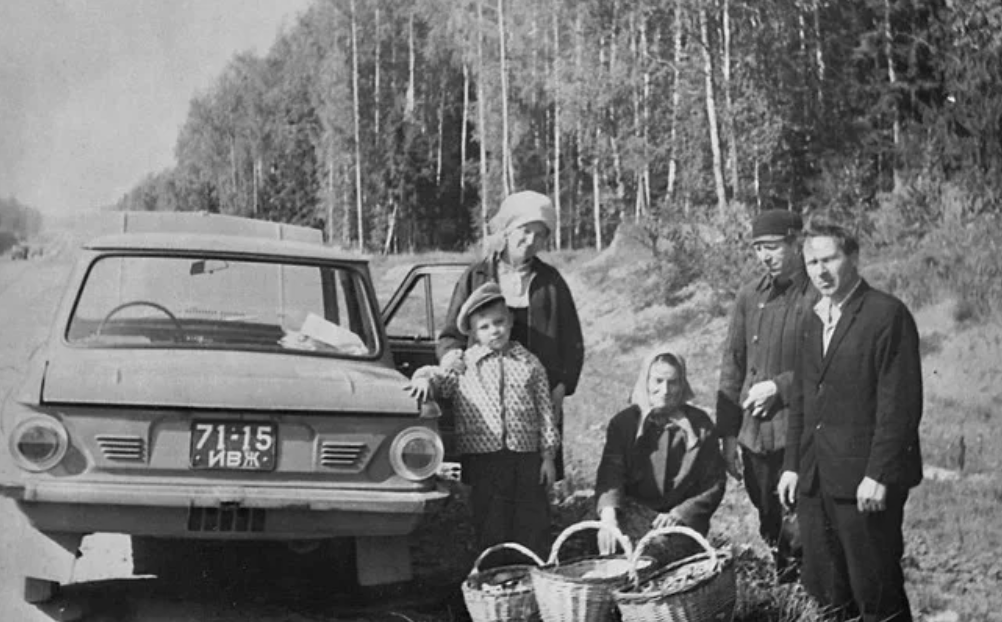 Наконец-то вырвались на выходных в лес за грибами