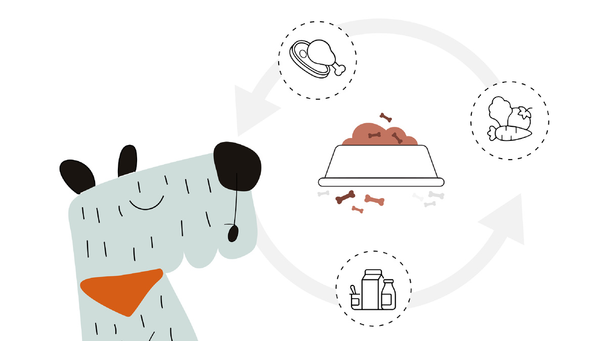 5 правил здорового рациона для вашей собаки в зимний сезон