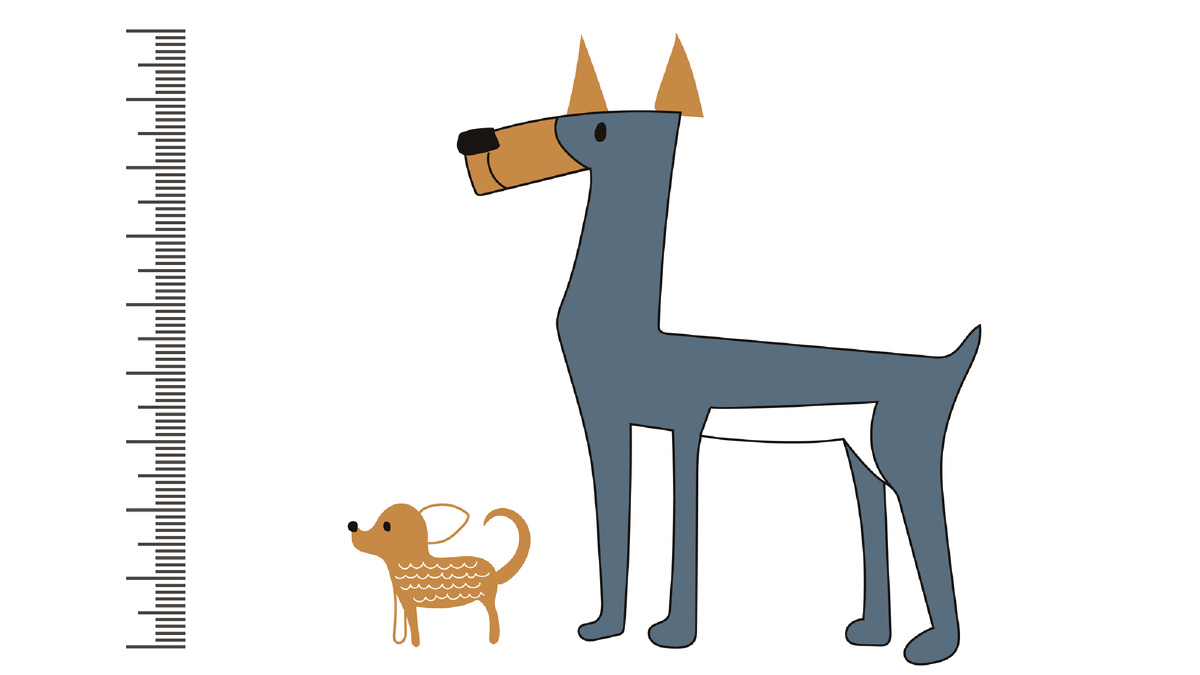 5 правил здорового рациона для вашей собаки в зимний сезон