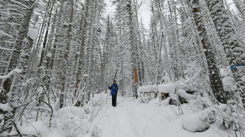    Фото: © РИА Новости/Илья Наймушин; 5-tv.ru