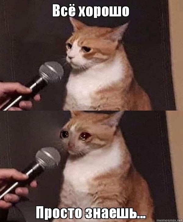 Когда ищешь работу уже не первый месяц...