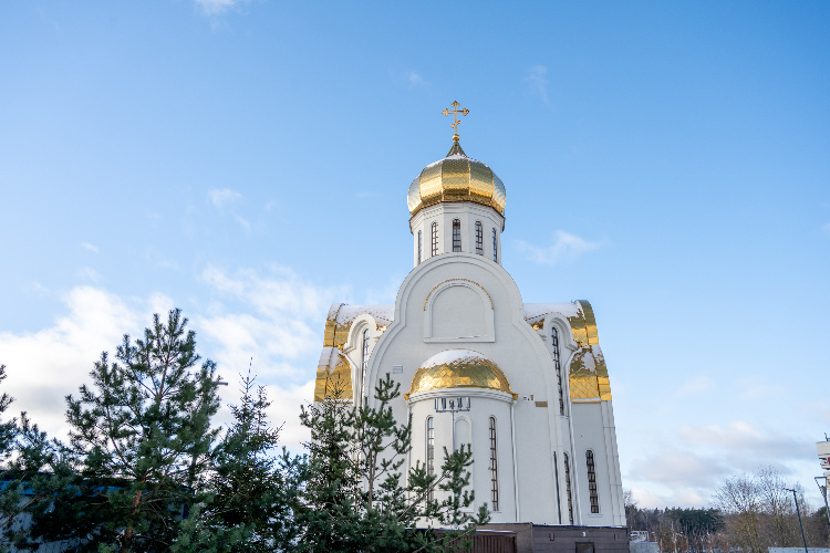    Фото: Юлия Федотова