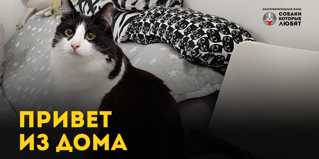 Привет из дома от Крюшона