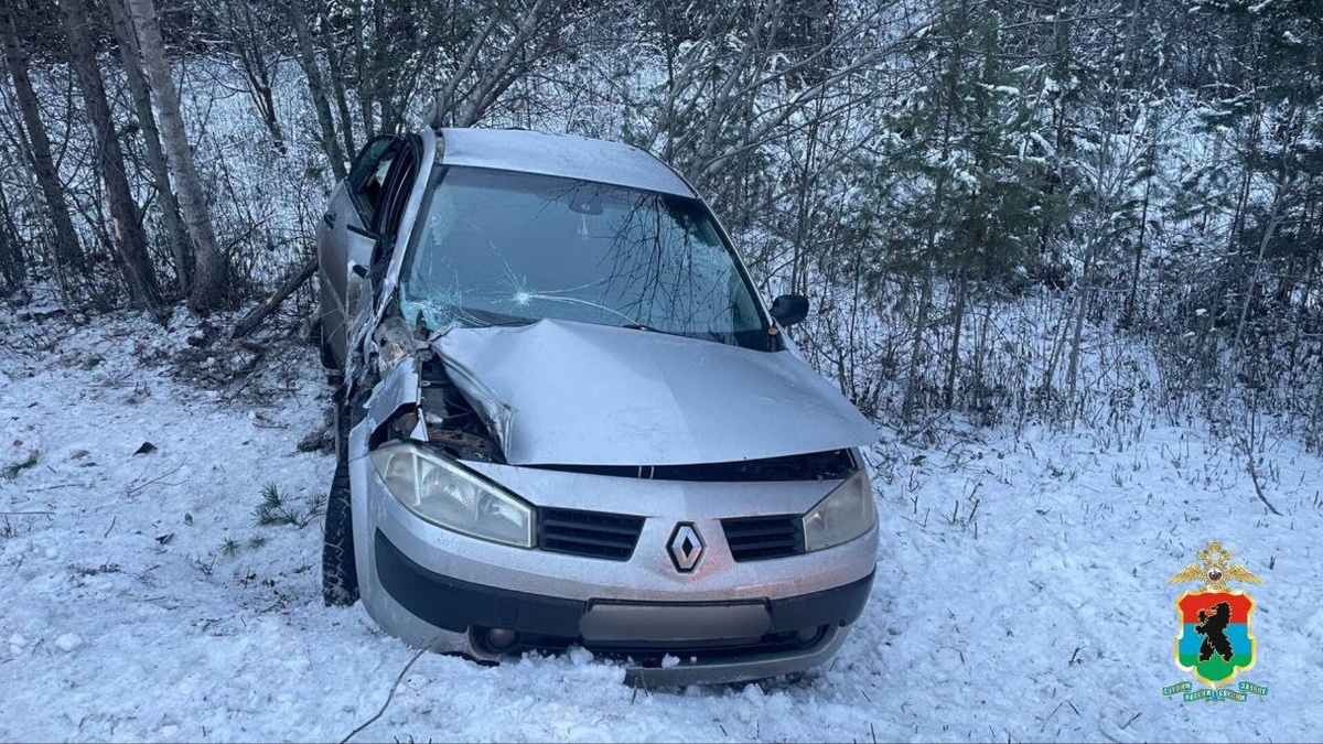    Стали известны подробности ДТП с тремя детьми в Заонежье© МВД по Карелии