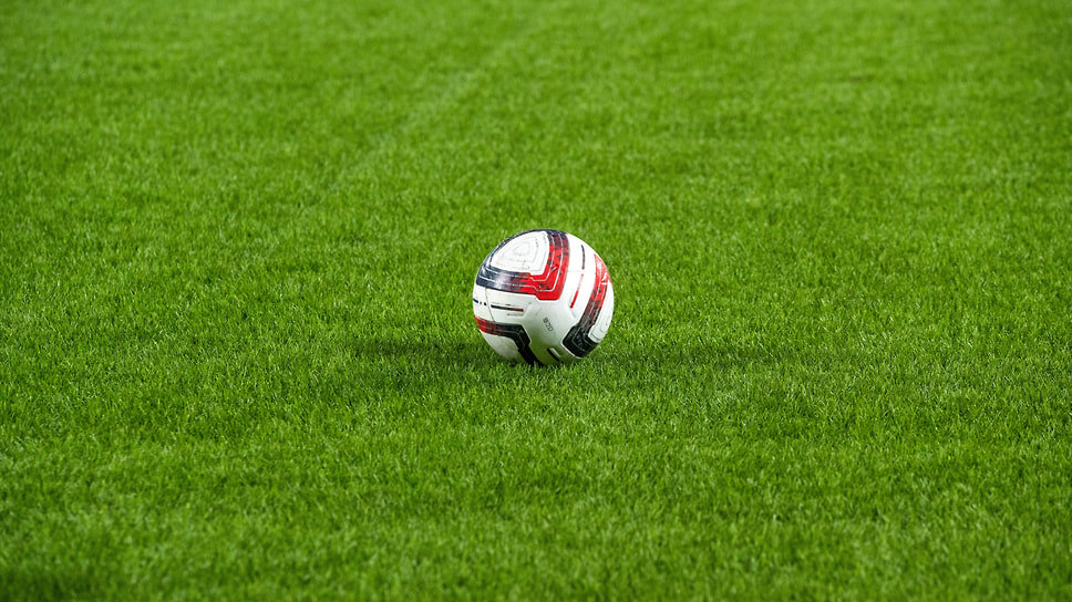 Фото: Олег Харсеев / Коммерсантъ