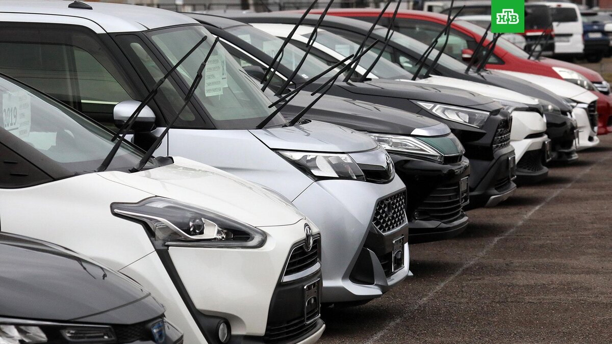    Фото: РИА Новости © 2025, Илья Наймушин