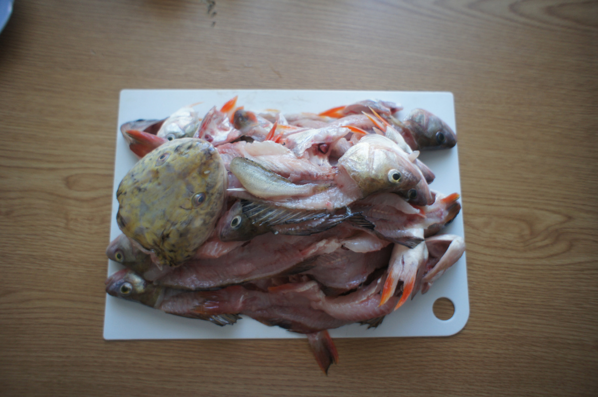 Рыбная обрезь для бульона