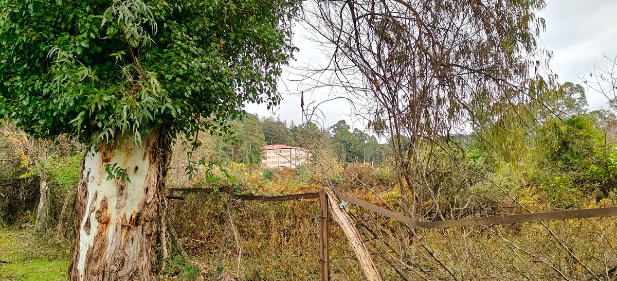 Вот, кстати, видно Психбольницу с дороги, по которой шагаем