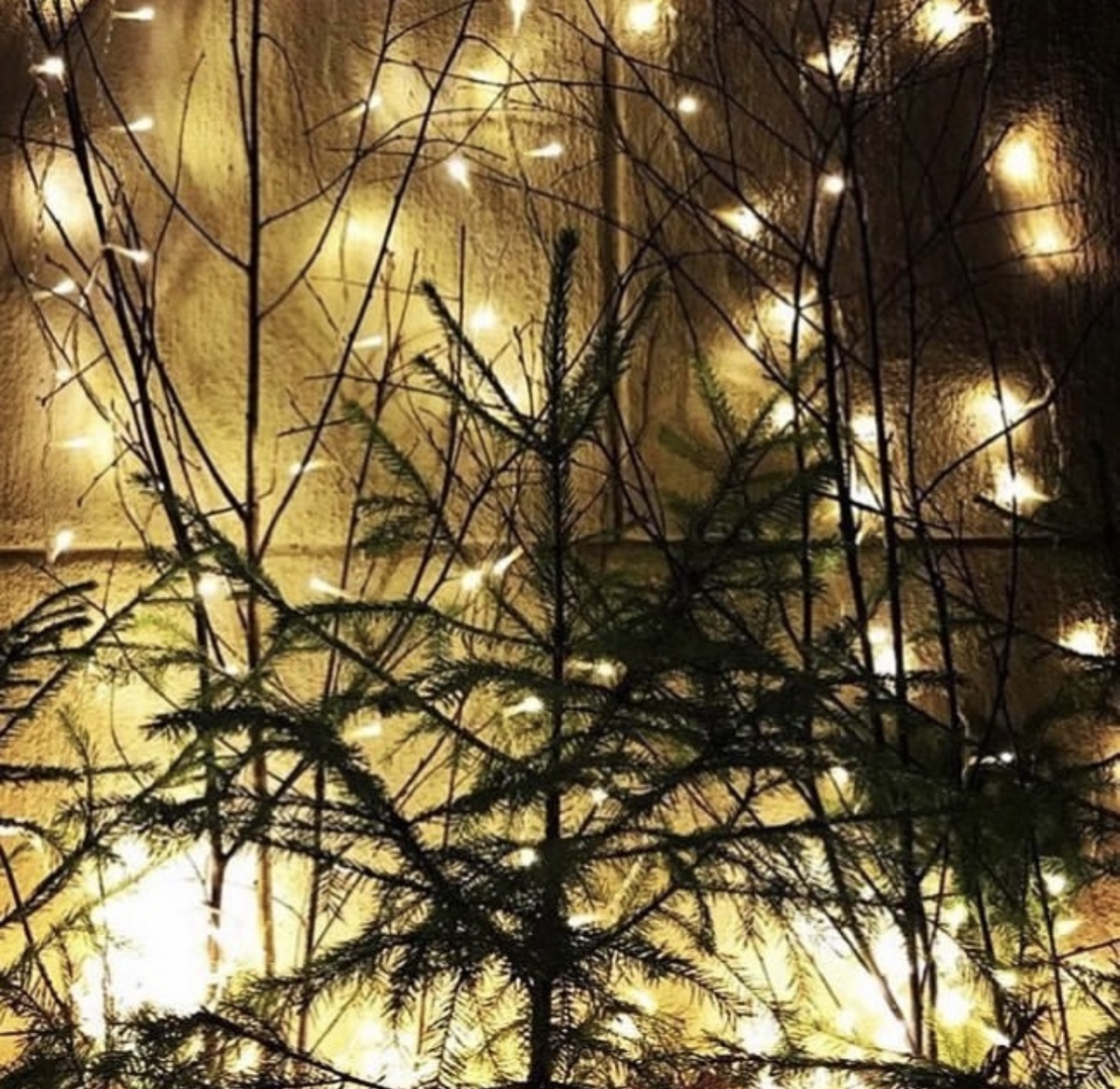 Фото автора. Сделано где то на улицах Москвы. Давно. 