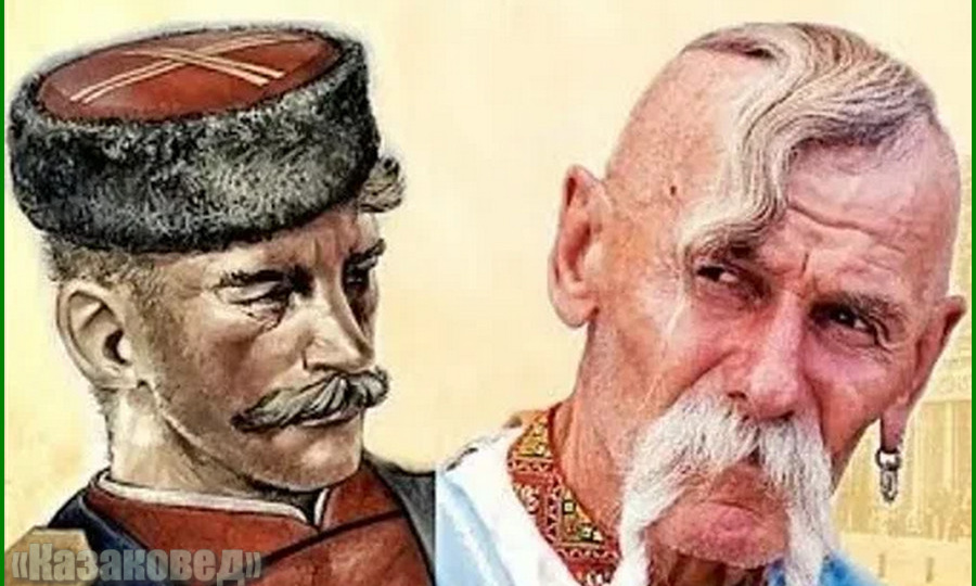 Споры о казачестве бесконечная река