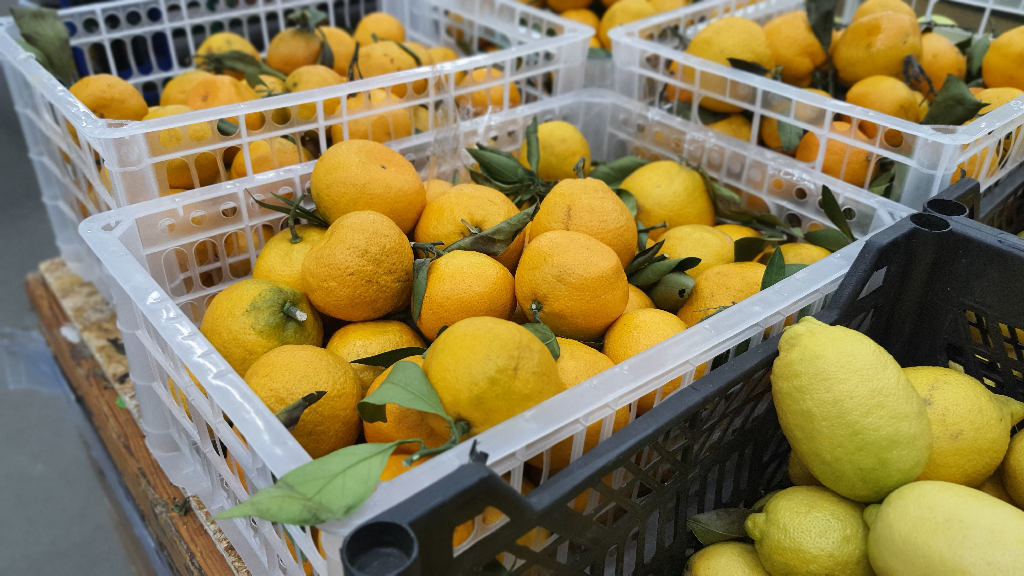 Авторское фото