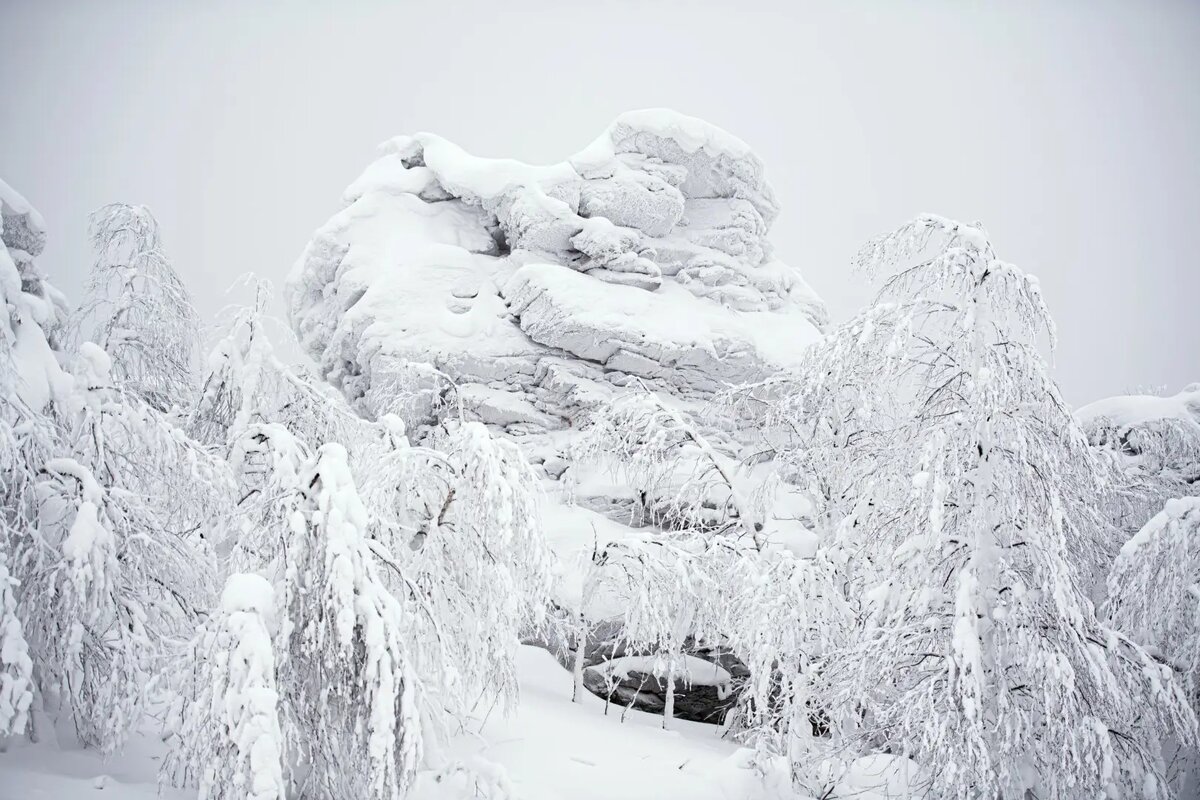     © РИА Новости. Владимир Астапкович