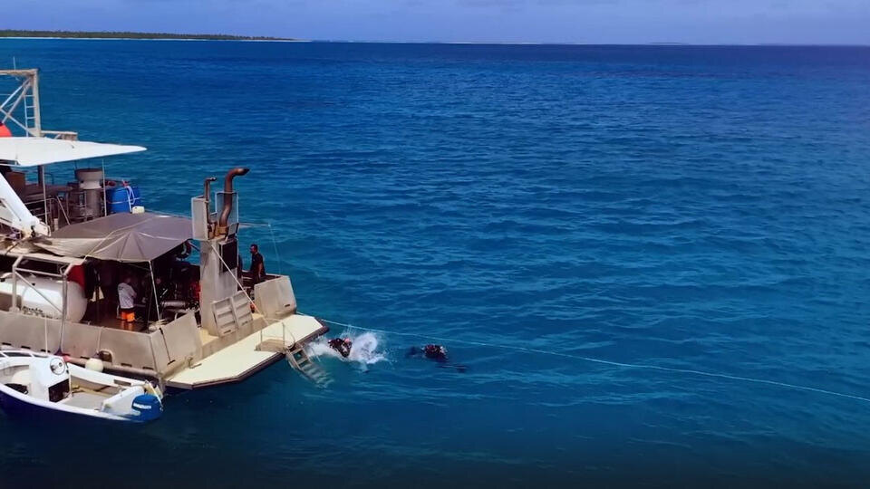 ФОТО: Кадр из программы "Невероятно интересные истории", РЕН ТВ