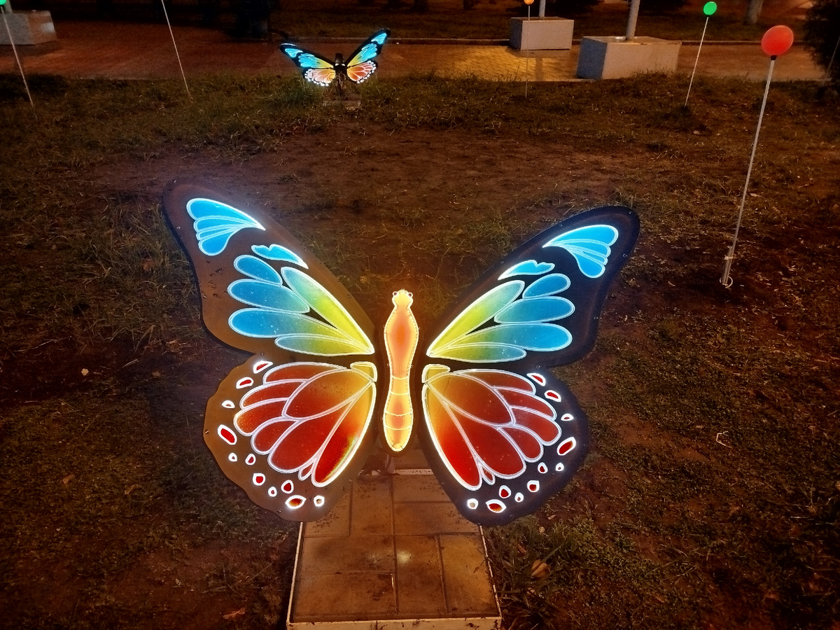 Светящиеся бабочки на аллее возле площади имени Ленина.