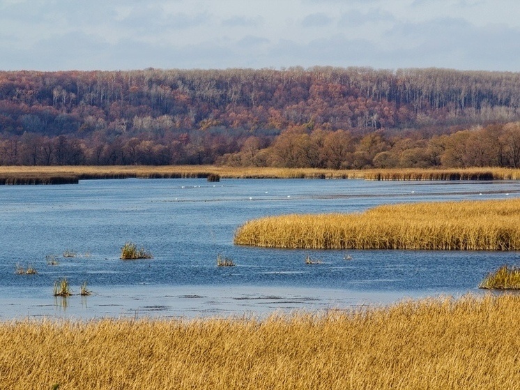     Источник: «Заповедник «Воронинский» (VK)